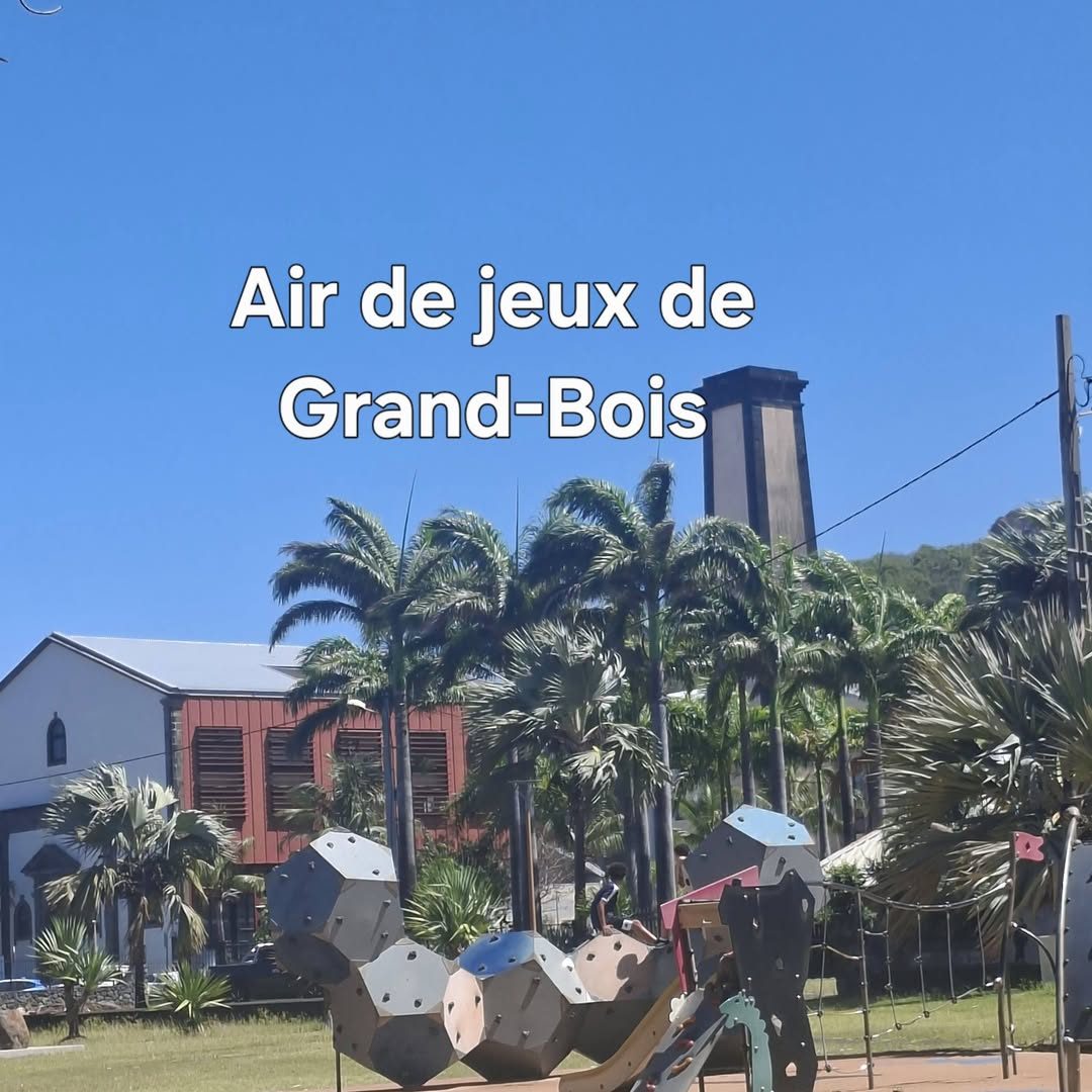 L'air de jeux de Grand-Bois avec ses palmiers